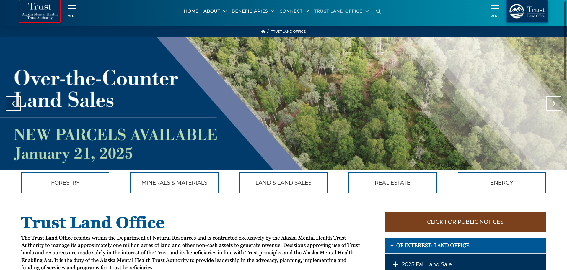 Screenshot Thumbnail