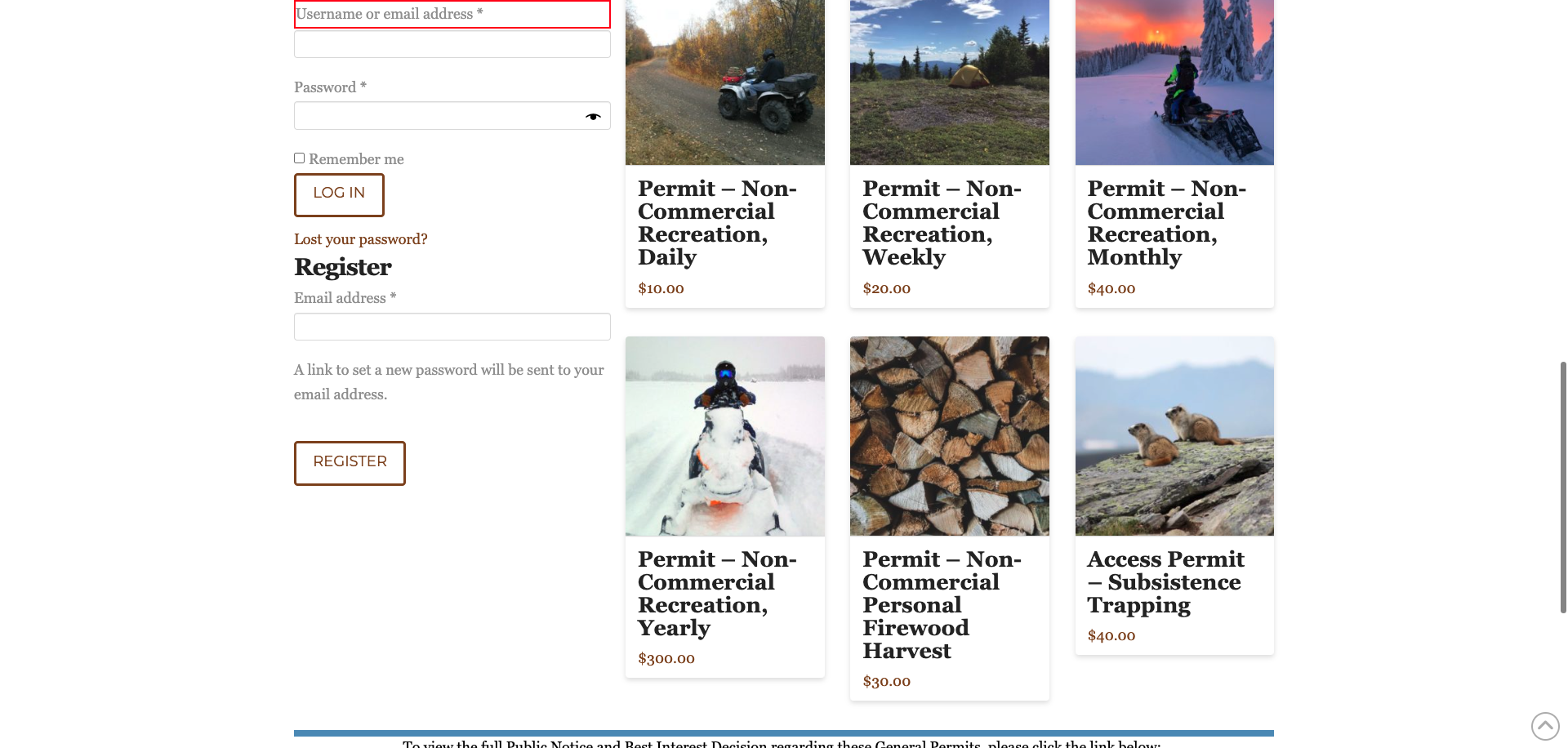 Screenshot Thumbnail