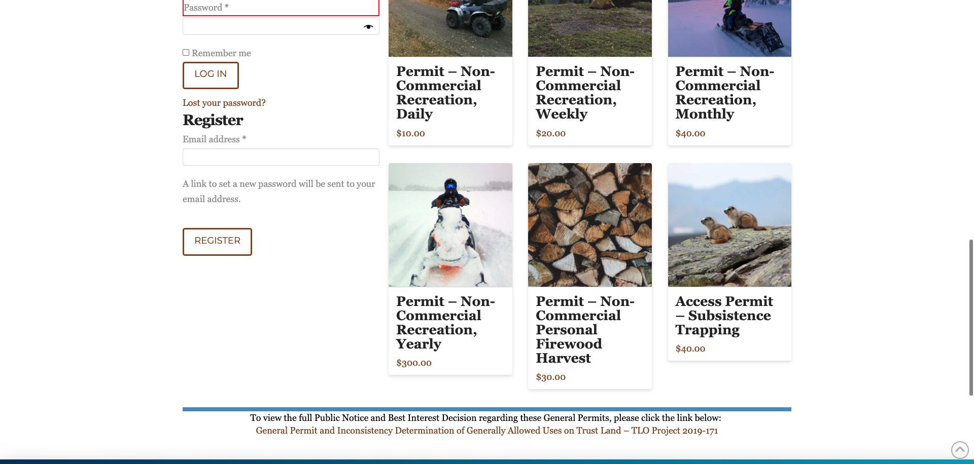 Screenshot Thumbnail