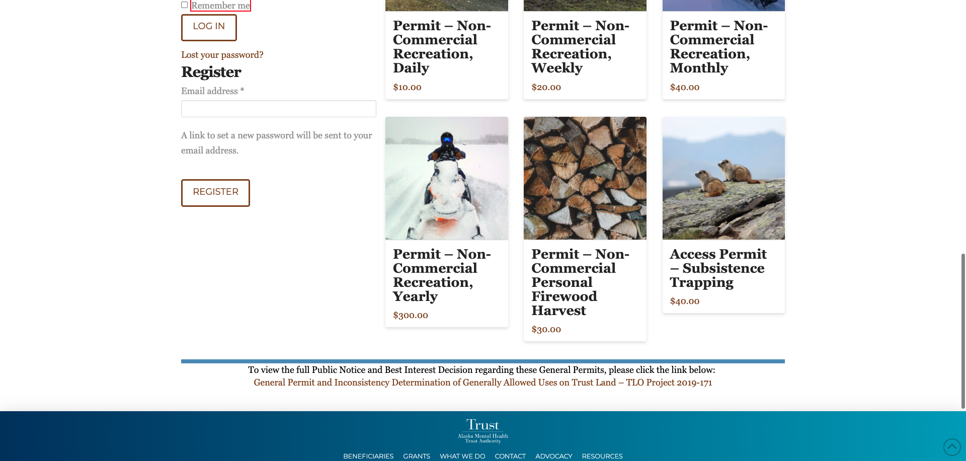 Screenshot Thumbnail