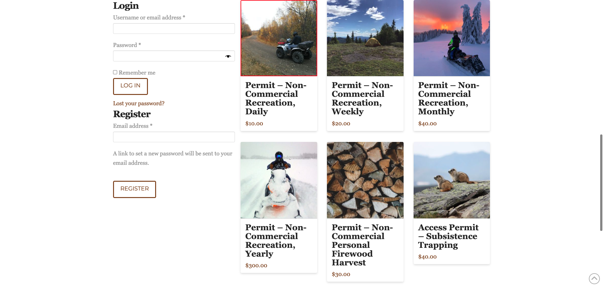 Screenshot Thumbnail