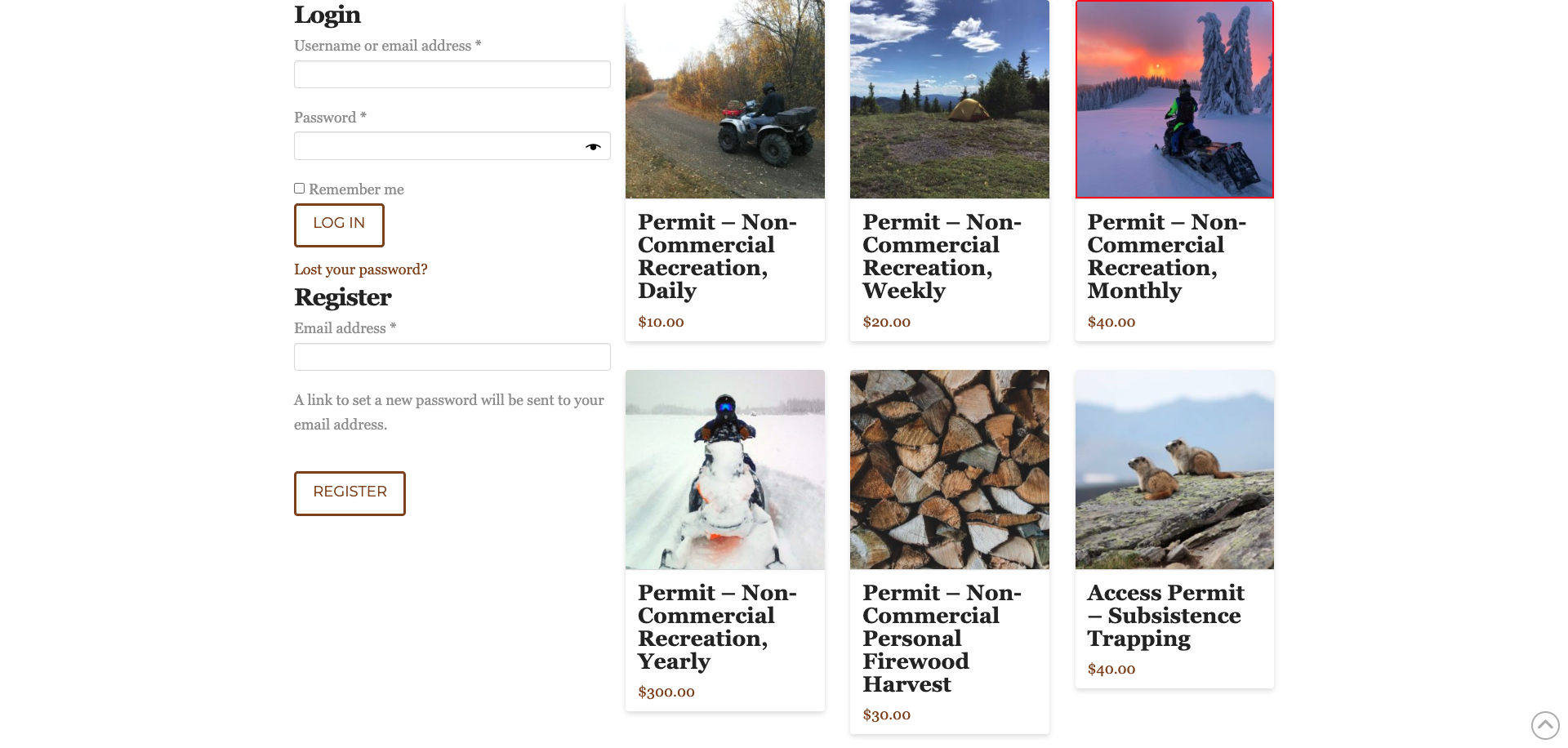 Screenshot Thumbnail