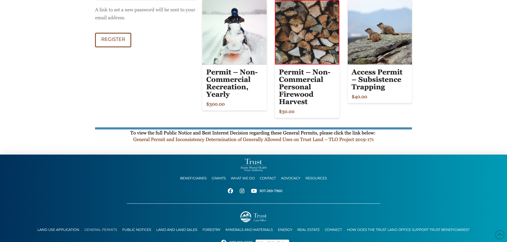 Screenshot Thumbnail