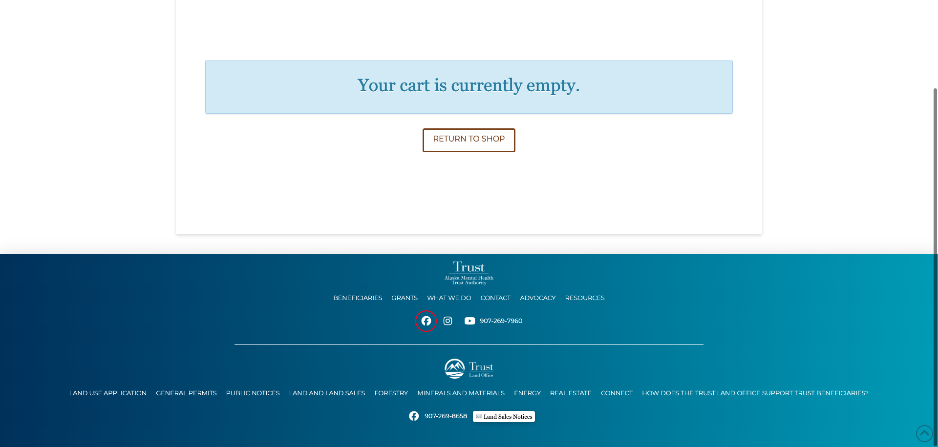 Screenshot Thumbnail