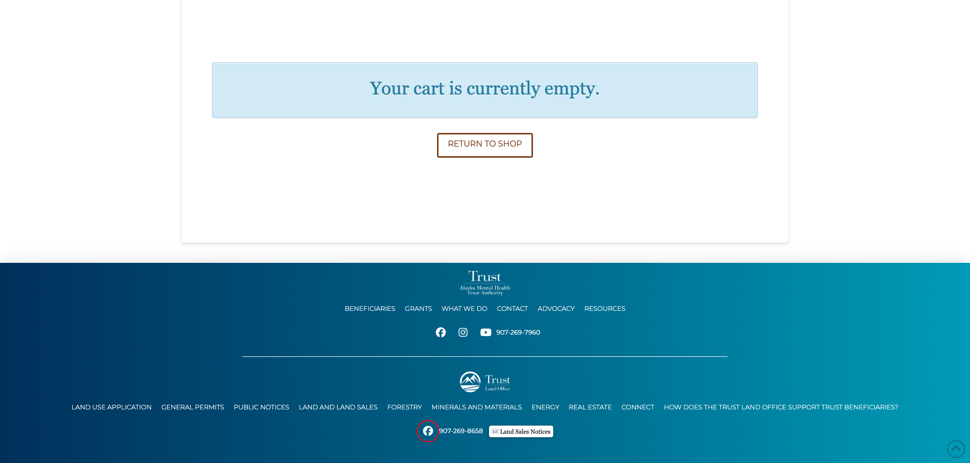 Screenshot Thumbnail